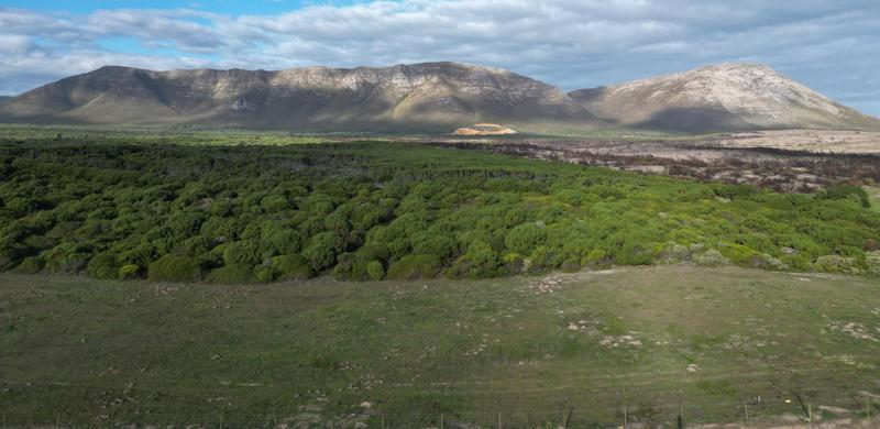 0 Bedroom Property for Sale in De Kelders Western Cape